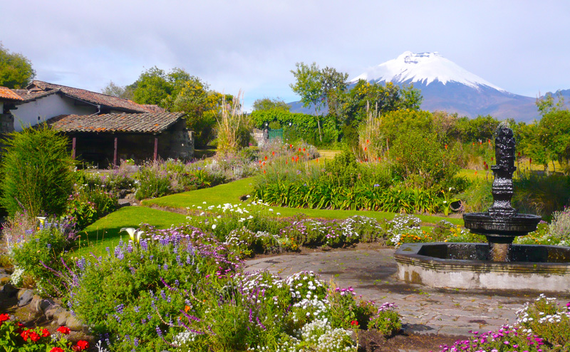 ecuador-Cotopaxi-Blick-von-Hacienda