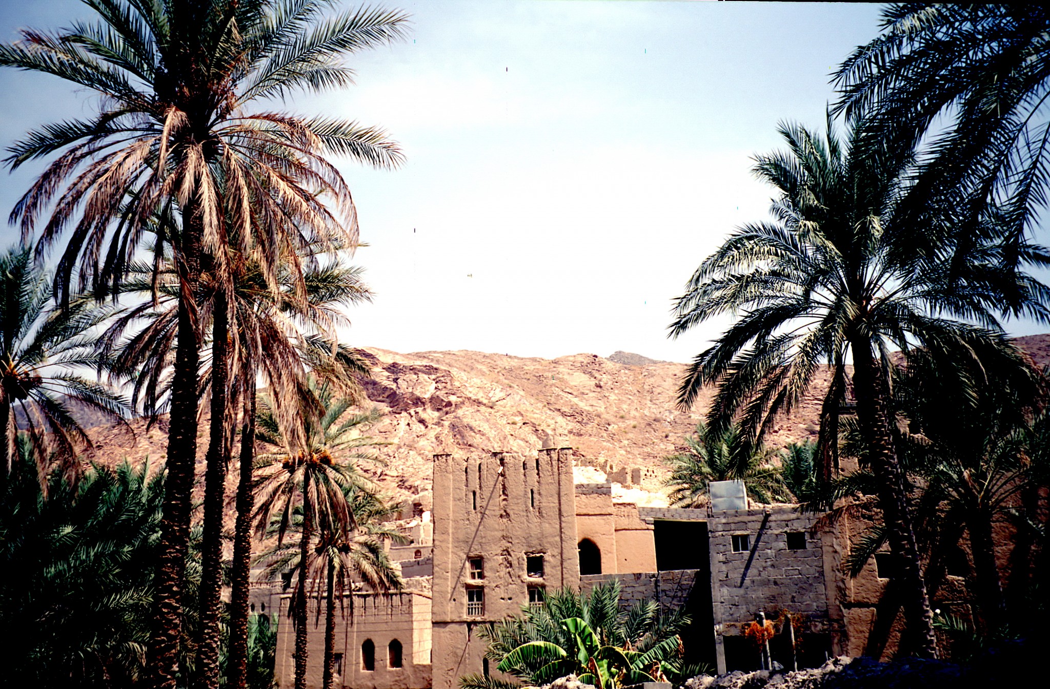 Oman Oase bei Nizwa