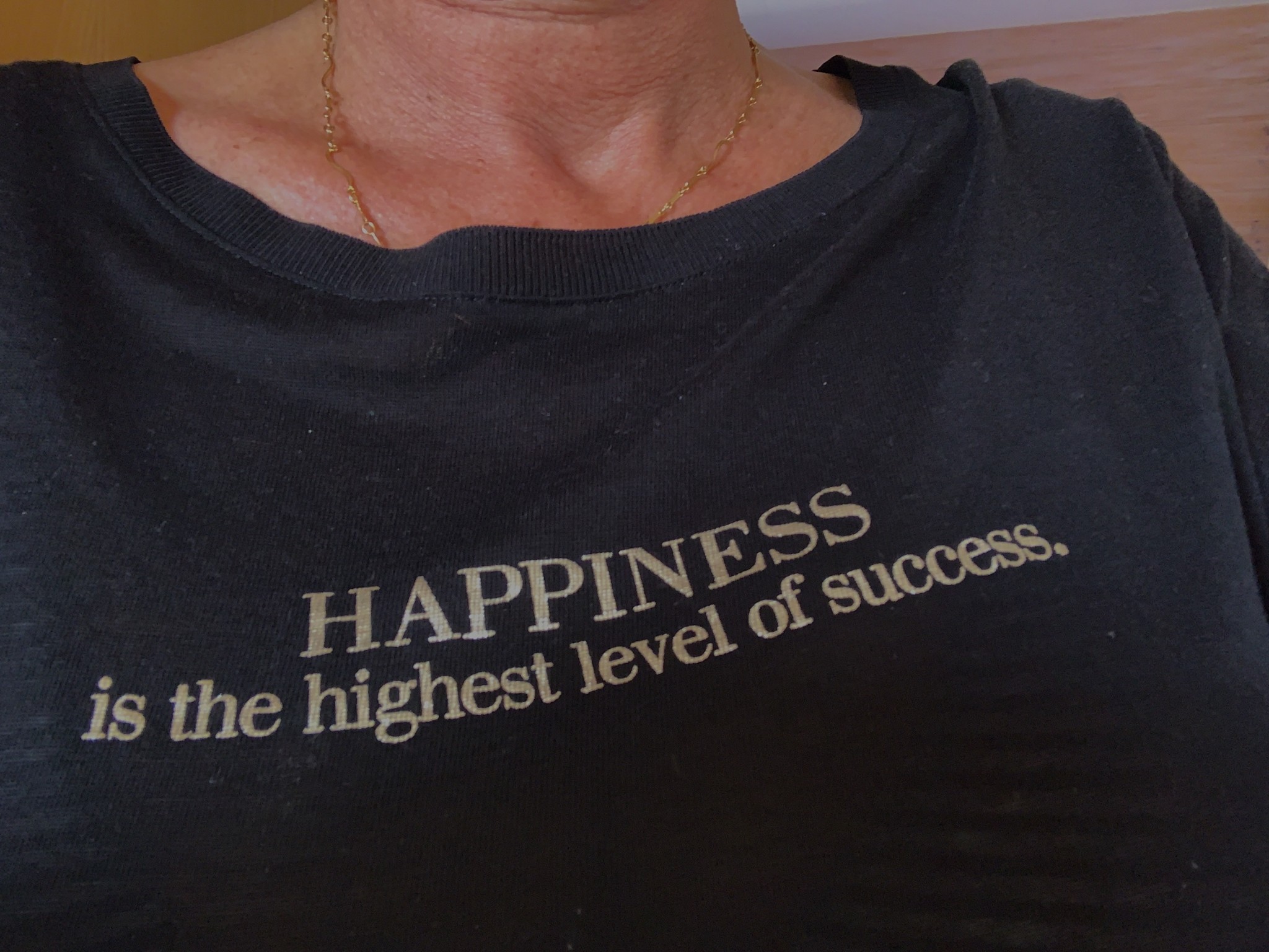 Sinnspruch auf Kleidung: Happiness is the highest level of success
