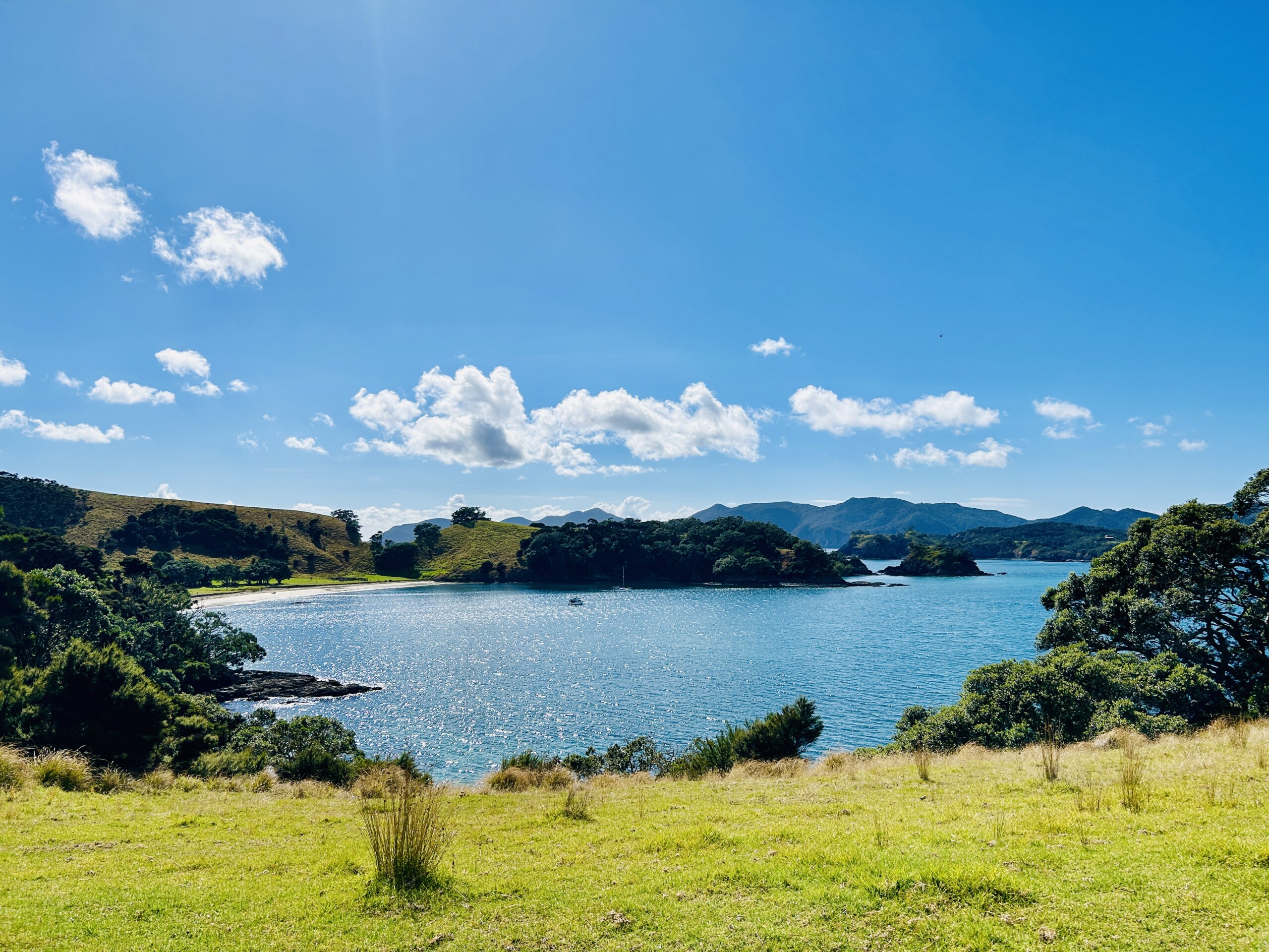 Neuseeland_Nordinsel_Bay-of-Islands_reisenmitsinn